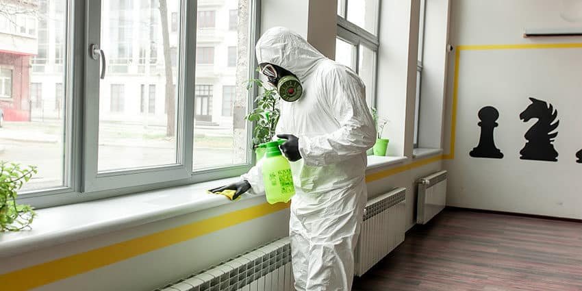 disinfection cleaning