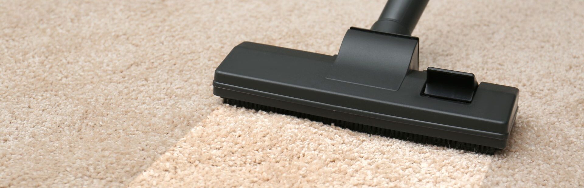 carpet cleaning brooklyn